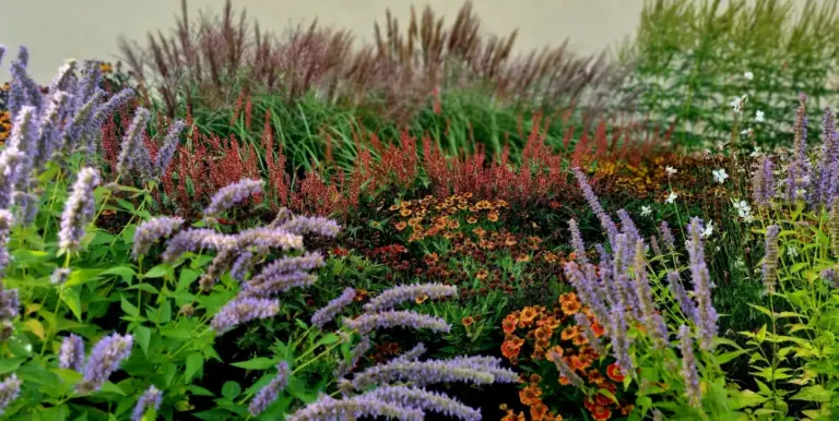 Gräser-Staudenbeet angelegt in Bitterfeld